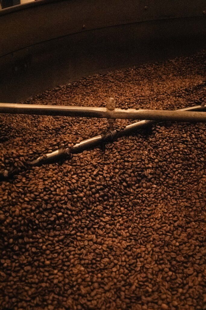 dibar coffee beans